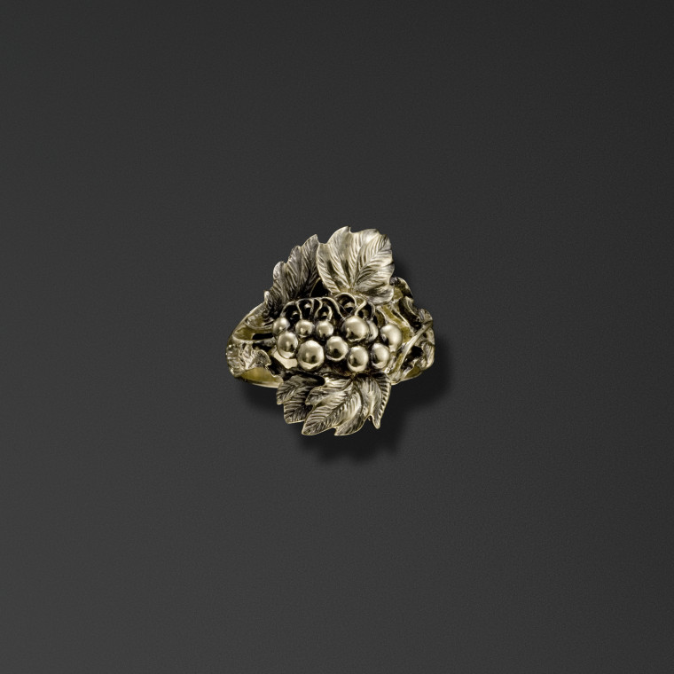 Anello di sicurezza 