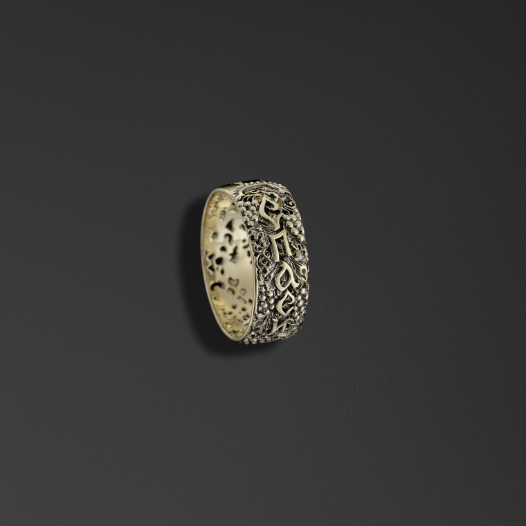 Anello di sicurezza»vite