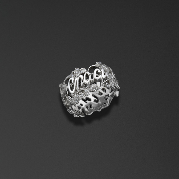 Anello di sicurezza «salva e salva»