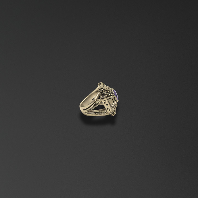 Anello di guardia 