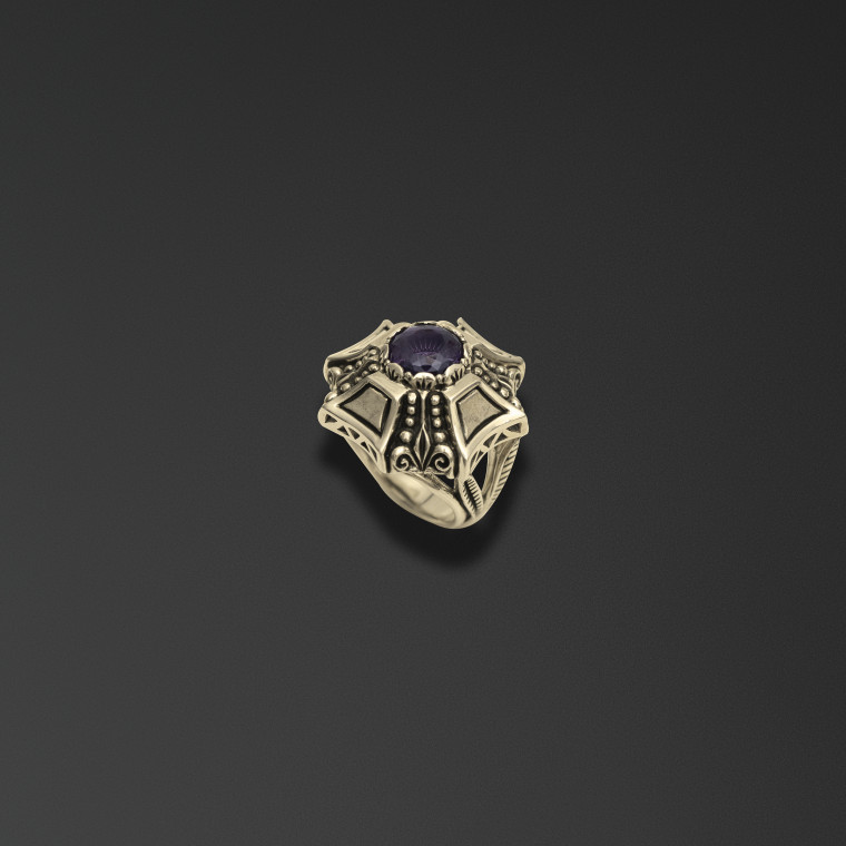 Anello di guardia 